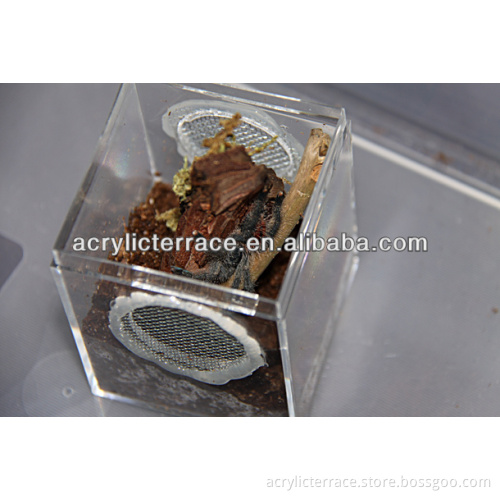 acrylic pet spider case - db131200100